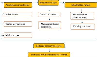 Exploring the relationship between agribusiness investments and postharvest losses among smallholder vegetable farmers in the eThekwini Municipality